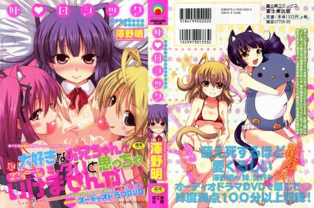 [澤野明] 妹・ロジック