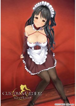 [151023][KISS] カスタムメイド3D2 ビジュアルパック [3208M]