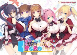 [190531][DESSERT Soft] 彼女（ヒロイン）は友達ですか？恋人ですか？それともトメフレですか？ [3041M]
