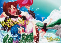 [TeamInazuma (相沢)] 草の根びちょびちょネットワーク (東方) [25M]